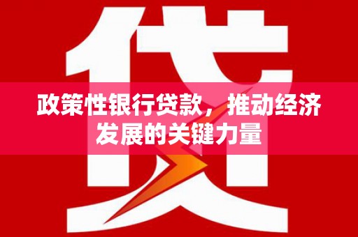 武进政策性银行贷款，推动经济发展的关键力量