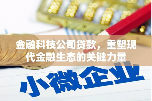 武进金融科技公司贷款，重塑现代金融生态的关键力量
