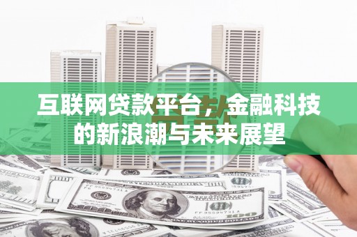 武进互联网贷款平台，金融科技的新浪潮与未来展望