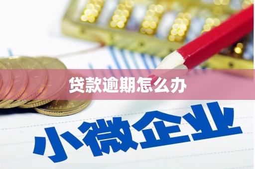 武进贷款逾期怎么办