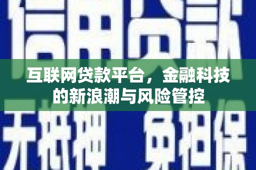 武进互联网贷款平台，金融科技的新浪潮与风险管控