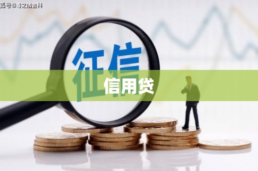 武进信用贷