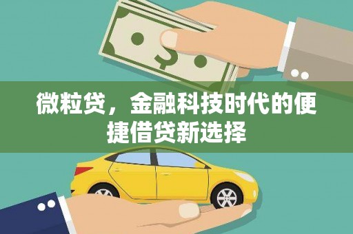 武进微粒贷，金融科技时代的便捷借贷新选择
