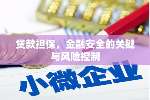 武进贷款担保，金融安全的关键与风险控制