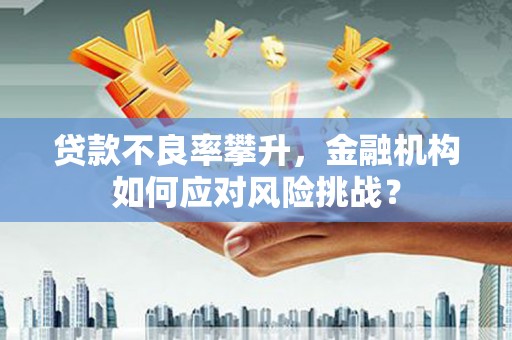 武进贷款不良率攀升，金融机构如何应对风险挑战？