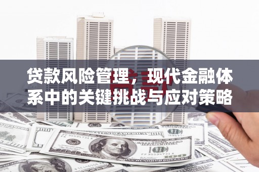 武进贷款风险管理，现代金融体系中的关键挑战与应对策略