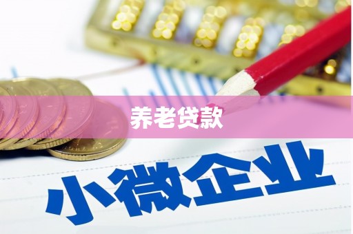 武进养老贷款