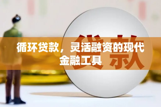武进循环贷款，灵活融资的现代金融工具