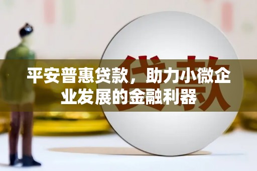 武进平安普惠贷款，助力小微企业发展的金融利器