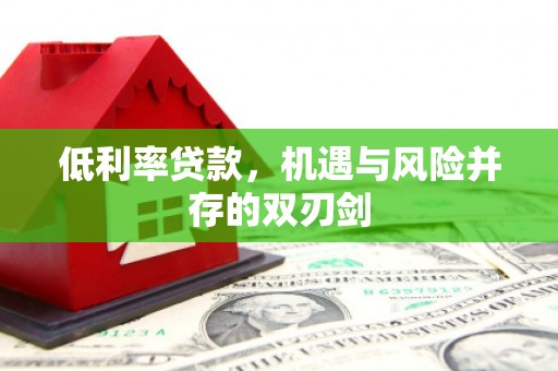 武进低利率贷款，机遇与风险并存的双刃剑