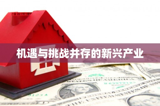 武进机遇与挑战并存的新兴产业