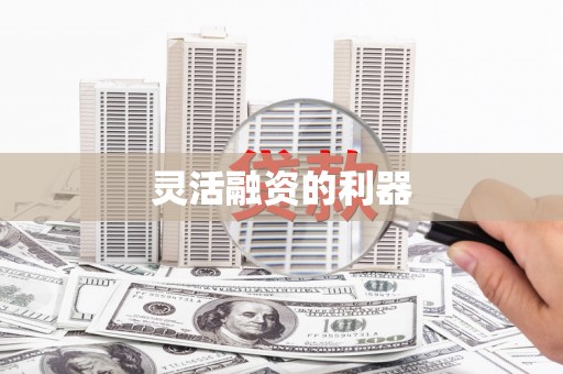武进灵活融资的利器