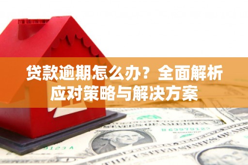 武进贷款逾期怎么办？全面解析应对策略与解决方案