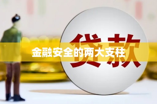 武进金融安全的两大支柱