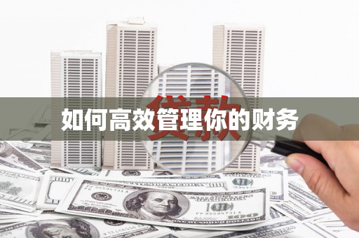 武进如何高效管理你的财务