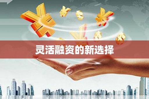 武进灵活融资的新选择