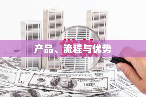 武进产品、流程与优势