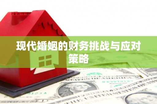 武进现代婚姻的财务挑战与应对策略