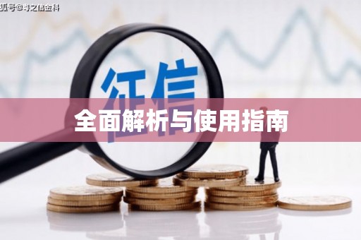 武进全面解析与使用指南