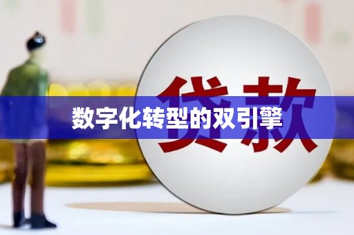 武进数字化转型的双引擎