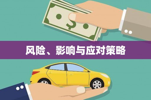 武进风险、影响与应对策略