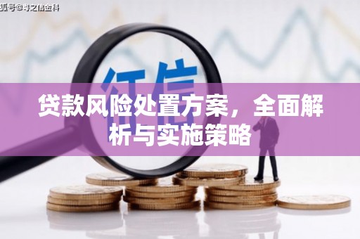 武进贷款风险处置方案，全面解析与实施策略
