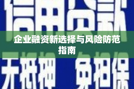 武进企业融资新选择与风险防范指南