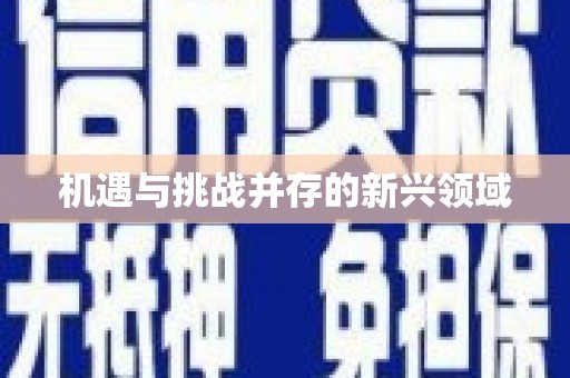 武进机遇与挑战并存的新兴领域