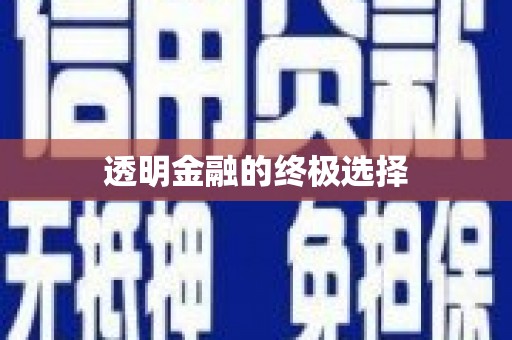 武进透明金融的终极选择