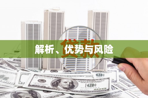 武进解析、优势与风险