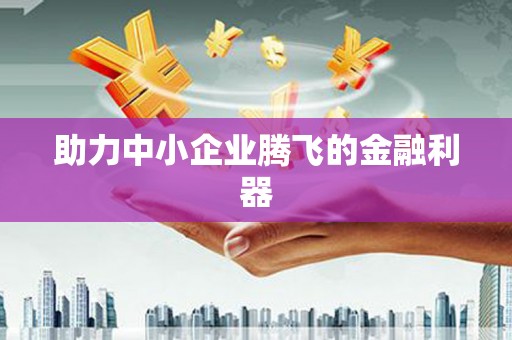 武进助力中小企业腾飞的金融利器