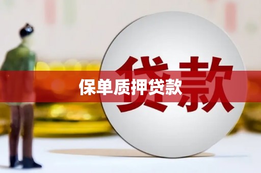 武进保单质押贷款