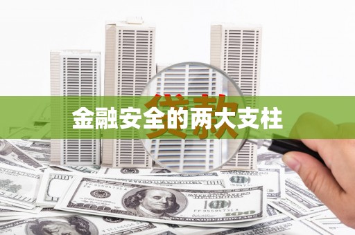武进金融安全的两大支柱