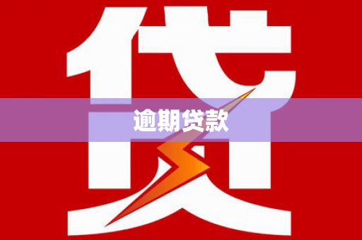 武进逾期贷款