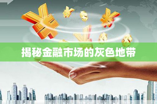 武进揭秘金融市场的灰色地带