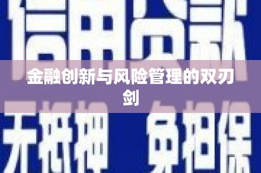 武进金融创新与风险管理的双刃剑