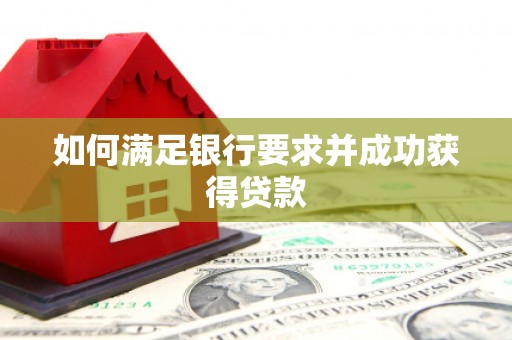 武进如何满足银行要求并成功获得贷款