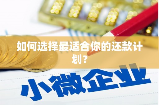 武进如何选择最适合你的还款计划？