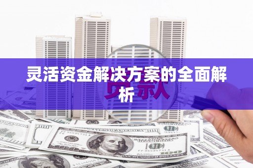 武进灵活资金解决方案的全面解析