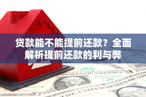 武进贷款能不能提前还款？全面解析提前还款的利与弊