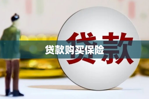 武进贷款购买保险