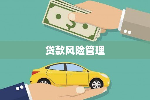 武进贷款风险管理