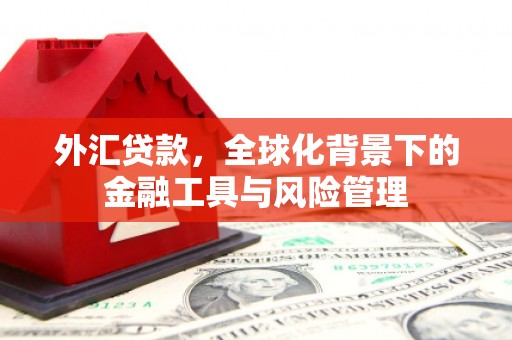 武进外汇贷款，全球化背景下的金融工具与风险管理