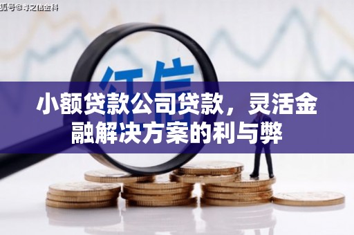 武进小额贷款公司贷款，灵活金融解决方案的利与弊