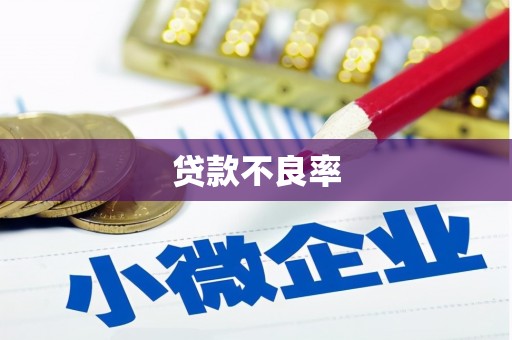 武进贷款不良率