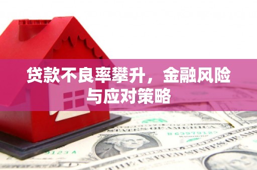 武进贷款不良率攀升，金融风险与应对策略