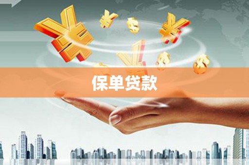 武进保单贷款 武进保单贷款